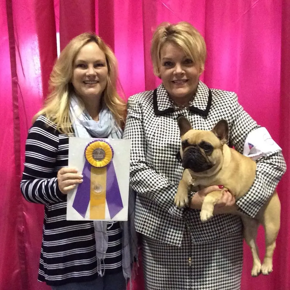 Two women pose in front of a pink curtain, one holding a large rosette and the other a fawn French Bulldog.