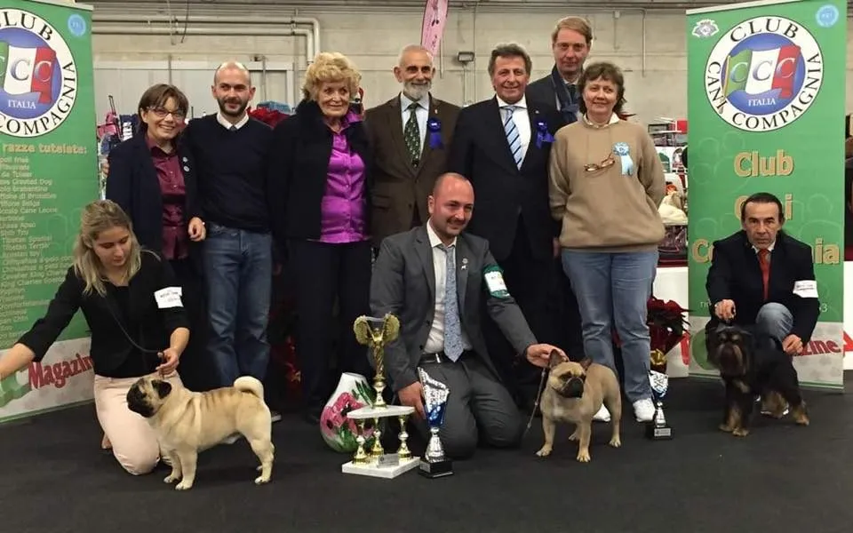 A group of people poses at an indoor show behind a table of trophies, with three French Bulldogs in front.