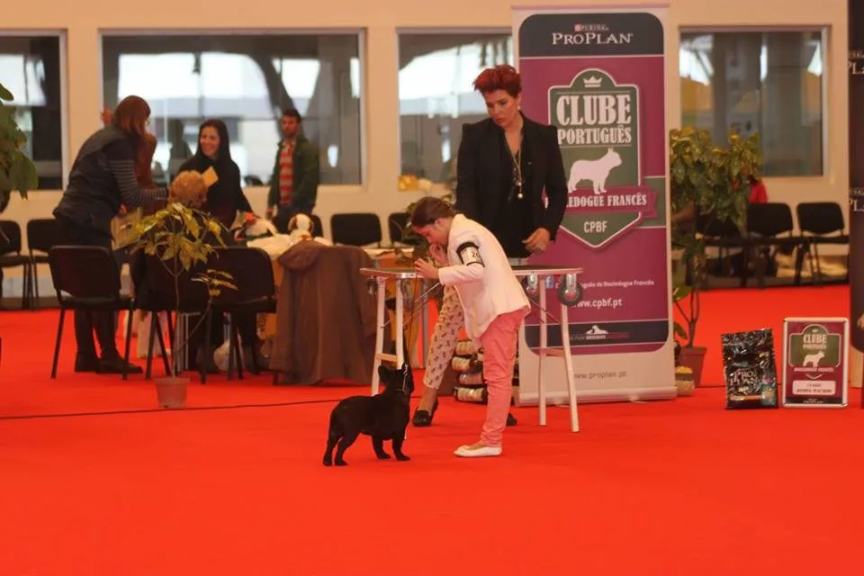 A woman judges at an indoor show on red carpet while a young handler in pink stands a black French Bulldog.