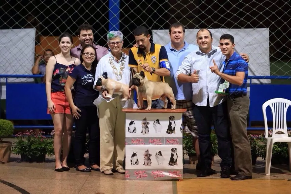 A group of people poses at a show behind a podium with two fawn French Bulldogs on it.