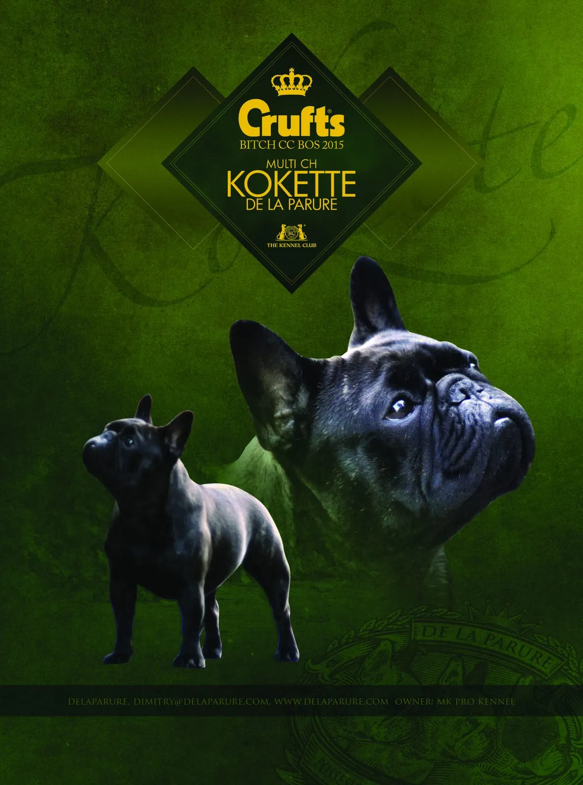 Green poster with the Crufts logo and the name “Kokette de la Parure”, showing a dark French Bulldog and a close-up of its head.