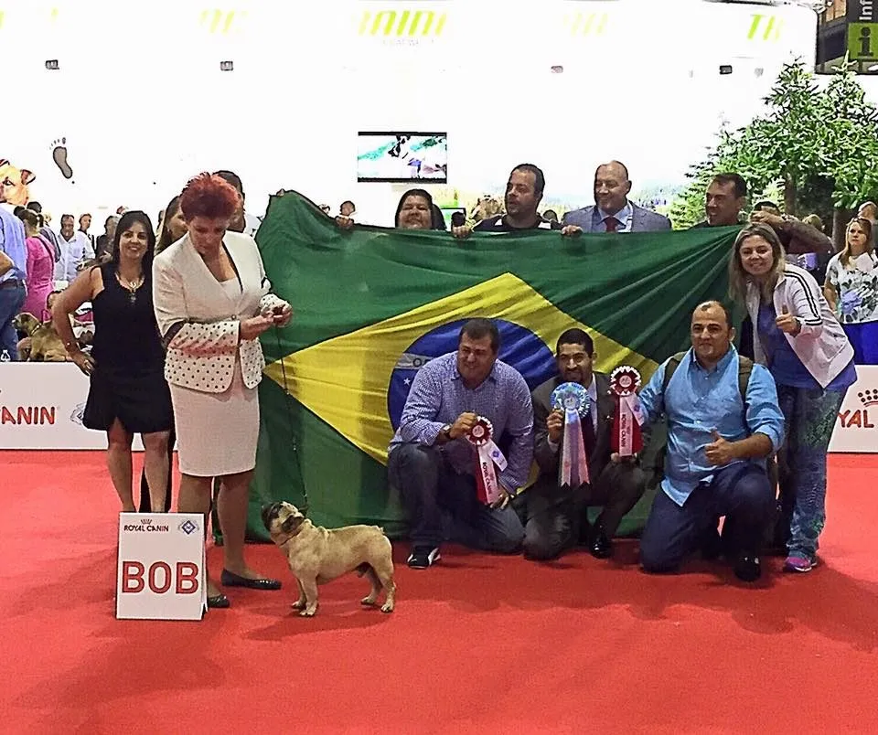 A group of people with rosettes kneel and stand behind a Brazilian flag, with a fawn French Bulldog next to the “BOB” sign.
